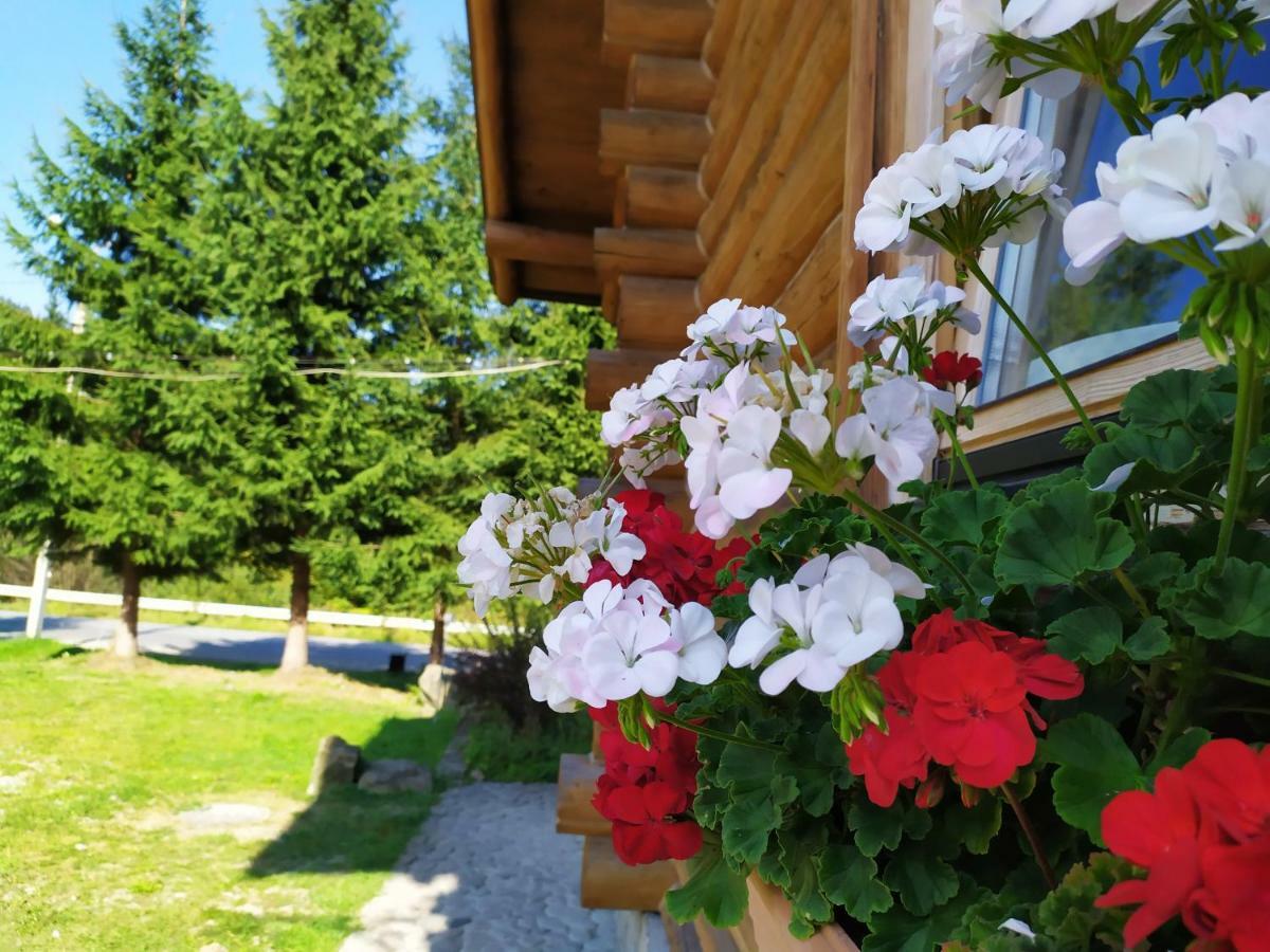 Hotel Khatky Ruslany Vorochta Exteriér fotografie